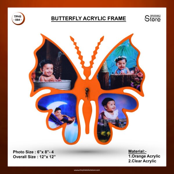 TPH Store - 084 Butterfly Acrylic Frame