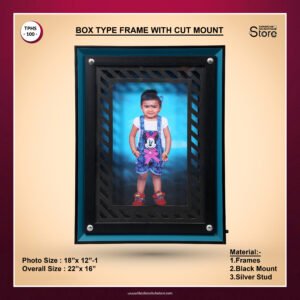 TPH Store - 100 Box Type Frame With Cut Mount