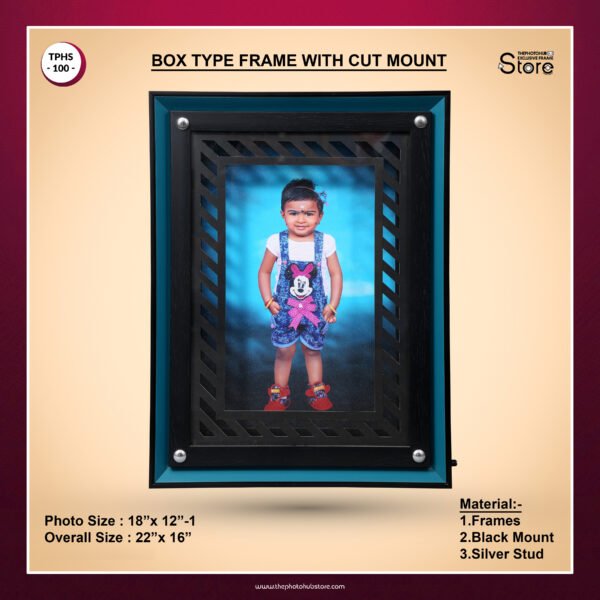 TPH Store - 100 Box Type Frame With Cut Mount